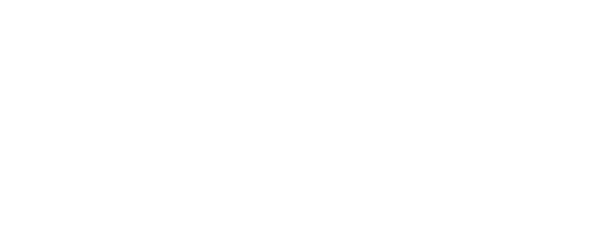 Logo Evo System